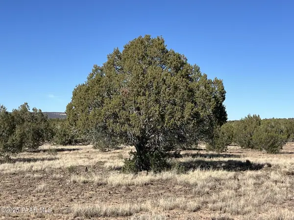 6800 Grand Vista Ranch RD, Williams, AZ 86046