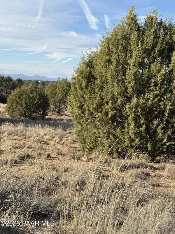 00 W Young RD, Prescott, AZ 86305