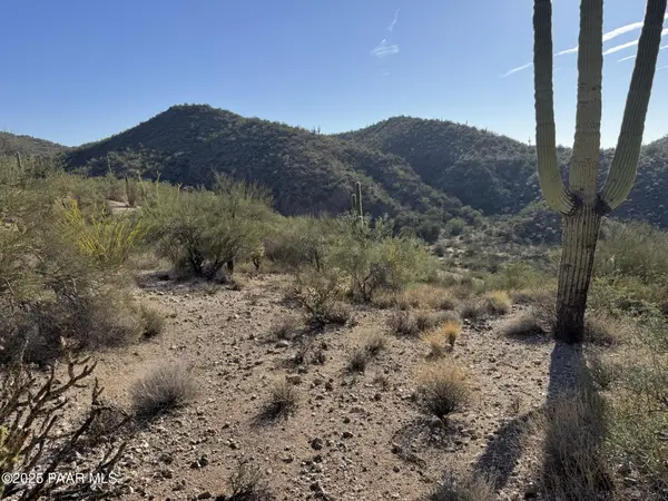 Xx00j S Blue Tank TRL, Wickenburg, AZ 85390
