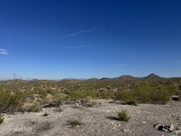 Xx00j S Blue Tank TRL, Wickenburg, AZ 85390