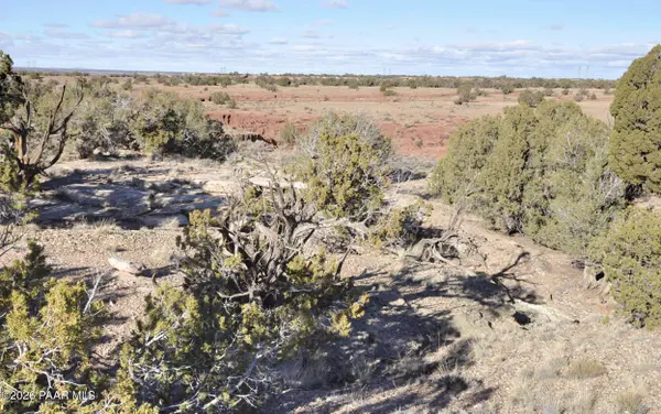 Lot690&691 691 Cr 5270 (Old Hunt Rd) Rwm, Concho, AZ 85924