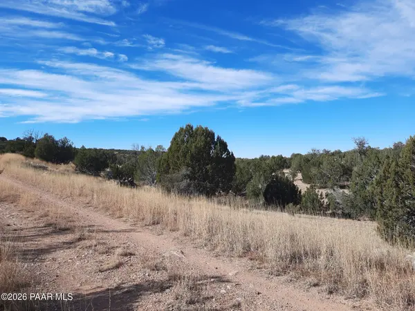 32563 W Ancho RD, Seligman, AZ 86337