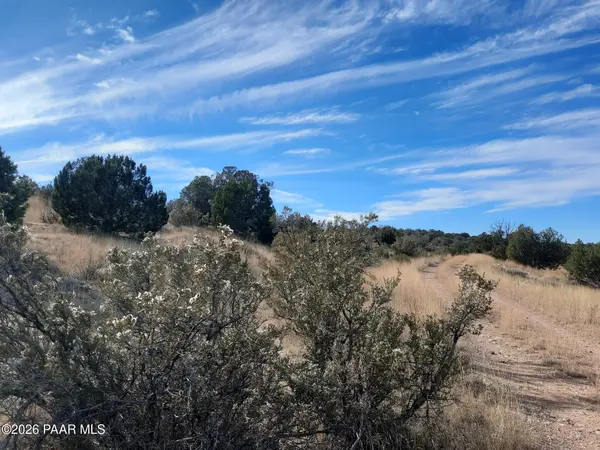 32563 W Ancho RD, Seligman, AZ 86337