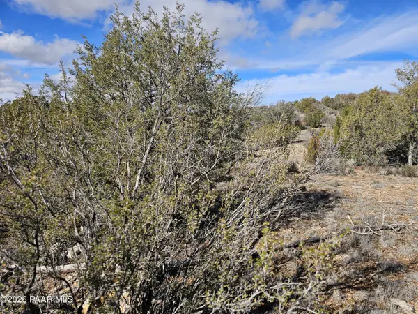 30022 W Amalia RD, Seligman, AZ 86337