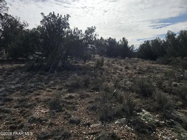 56056 N Bridge Canyon Pkwy, Seligman, AZ 86337