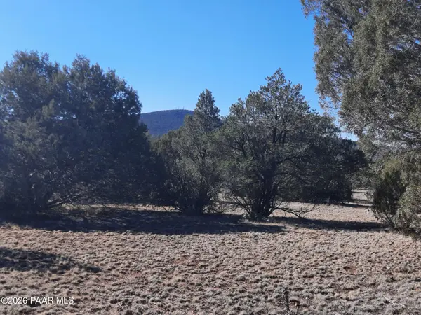 33175 Cowboy Clint WAY, Seligman, AZ 86337