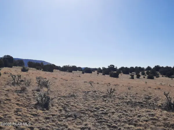 1247 Off Tin Star TRL, Seligman, AZ 86337