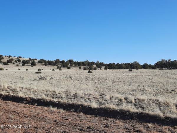 1247 Off Tin Star TRL, Seligman, AZ 86337