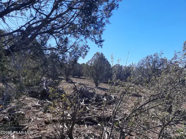 Lot 850 W Fort Rock RD, Seligman, AZ 86337