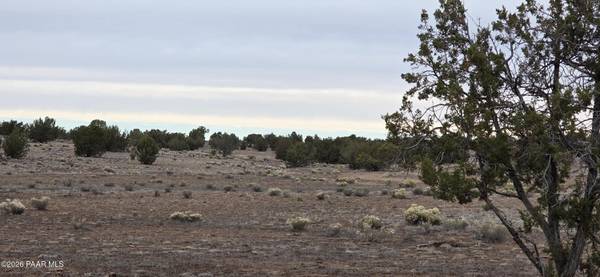 214 Juniper Woods, Ash Fork, AZ 86320