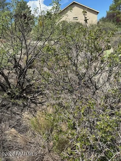 12311 S Caballo, Mayer, AZ 86333