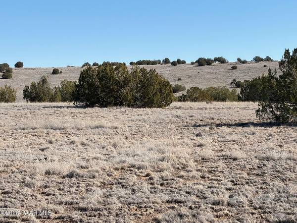 522 N Deer Camp TRL, Seligman, AZ 86337