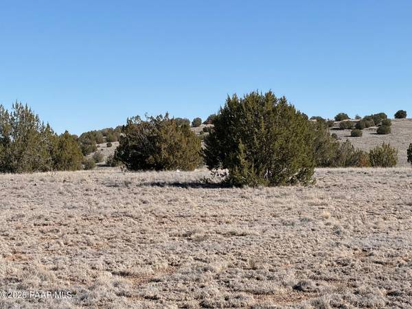522 N Deer Camp TRL, Seligman, AZ 86337
