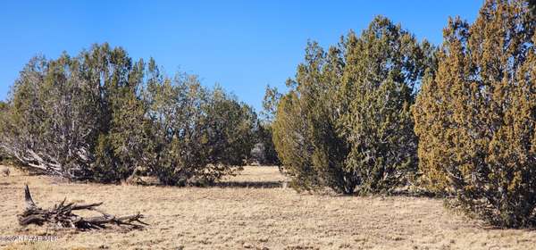 251 Se4 Juniperwood Ranch, Ash Fork, AZ 86320