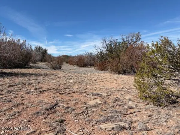 58102 Bridge Canyon RD, Seligman, AZ 86337