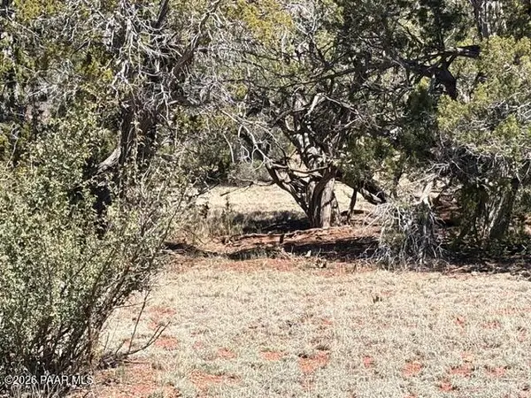 159 Circle DR, Seligman, AZ 86337