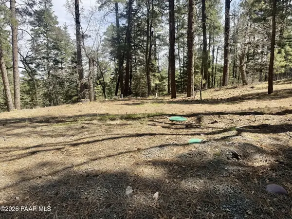 3200 E Misty Mountain LOOP, Prescott, AZ 86303