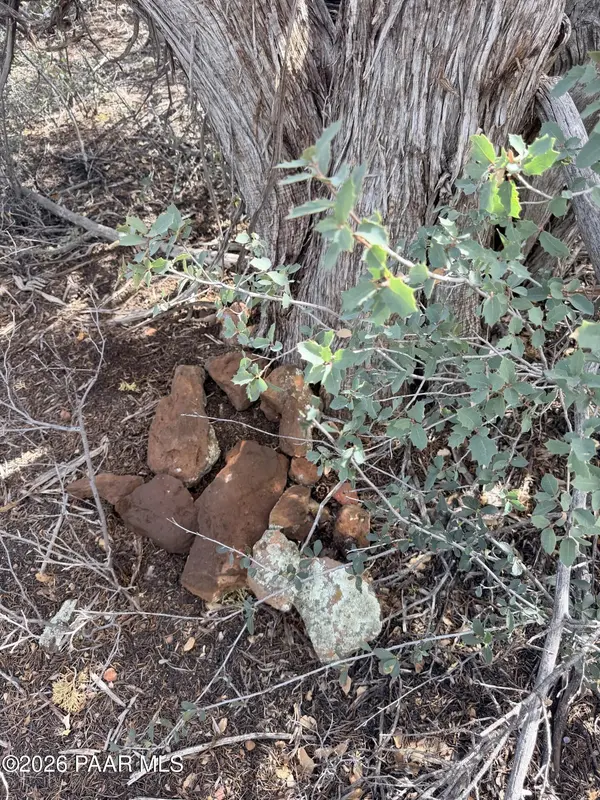Lot 309 Forest Acres, Seligman, AZ 86337