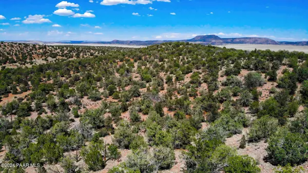 30117910p Unnamed Rd (20 Acres), Seligman, AZ 86337