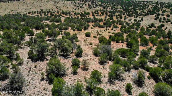 30117010l Unnamed Rd (20 Acres), Seligman, AZ 86337
