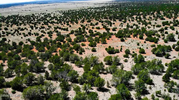 30117010l Unnamed Rd (20 Acres), Seligman, AZ 86337