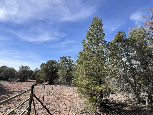 5 Deer Droppings, Ash Fork, AZ 86320