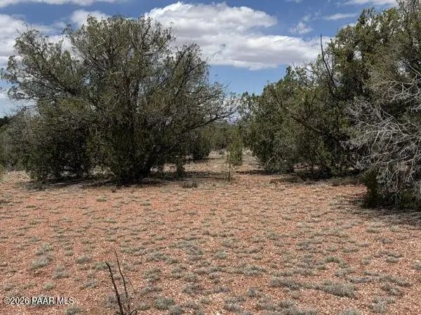 55103 N La Baya RD, Seligman, AZ 86337