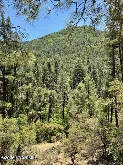 0 E Poland RD, Mayer, AZ 86333