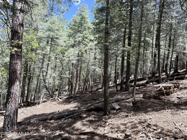 8037 S Millsite DR, Prescott, AZ 86303