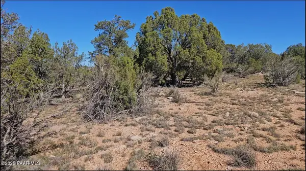 54913 N Echo LN, Seligman, AZ 86337