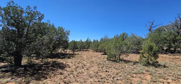 Lot 884 Westwood Ranches, Williams, AZ 86046