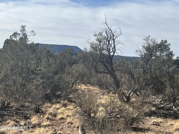 54506 N Shadow Mountain CIR, Seligman, AZ 86337