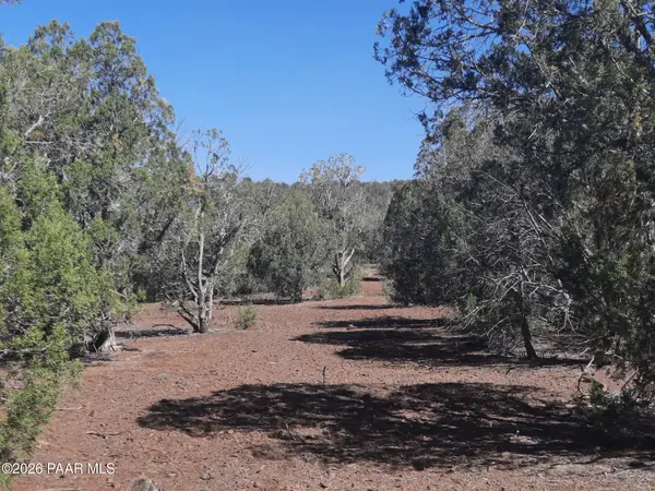 Lot 860 Fort Rock RD, Seligman, AZ 86337