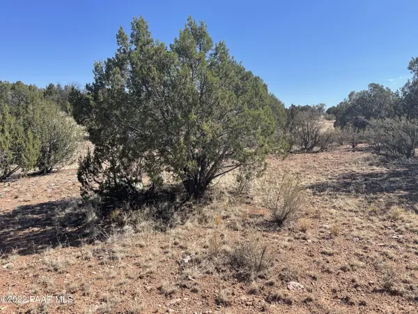 30134 W Alpia CIR, Seligman, AZ 86337