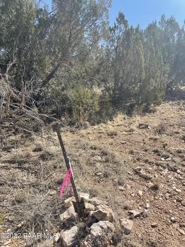 30134 W Alpia CIR, Seligman, AZ 86337