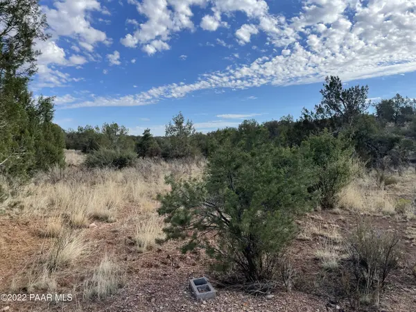 54663 N Forest Grove WAY, Seligman, AZ 86337