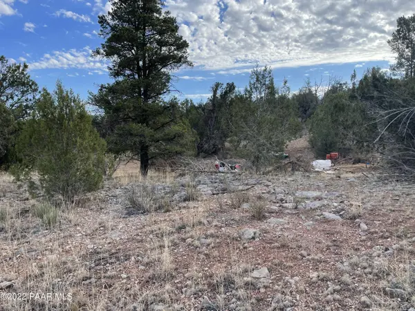 54663 N Forest Grove WAY, Seligman, AZ 86337