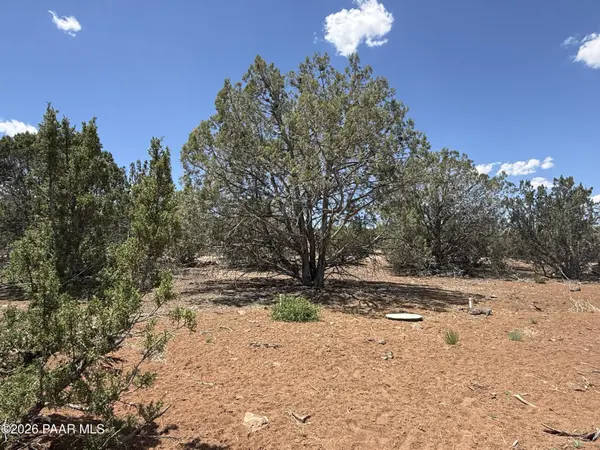 1885 Daggs ST, Show Low, AZ 85901