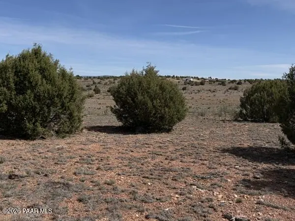 363se Via Dolorosa, Seligman, AZ 86337