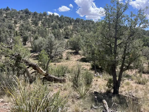 109 Off Of Twin Fawn LN, Ash Fork, AZ 86320
