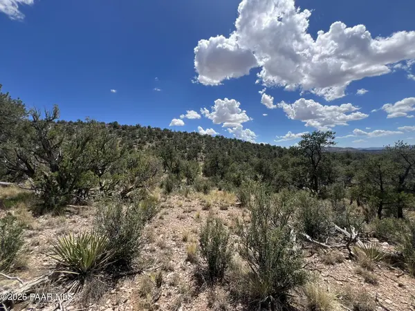 109 Off Of Twin Fawn LN, Ash Fork, AZ 86320