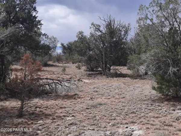 32399 W Avenida Bailar, Seligman, AZ 86337