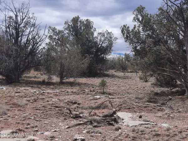 32399 W Avenida Bailar, Seligman, AZ 86337