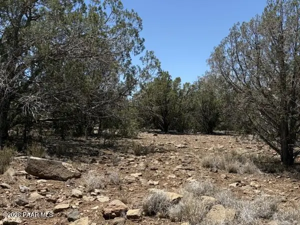 356b Sierra Verde Ranch, Seligman, AZ 86337