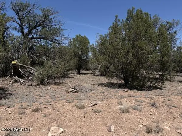 356d Sierra Verde Ranch, Seligman, AZ 86337