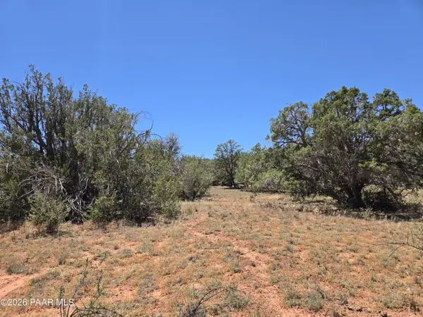236 W Kings Ranch RD, Ash Fork, AZ 86320