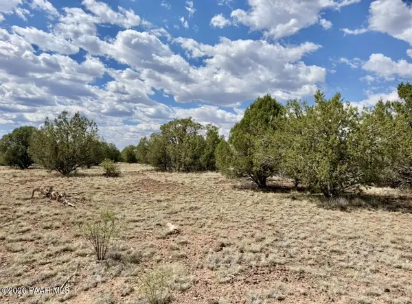 223 W Pat DR, Williams, AZ 86046