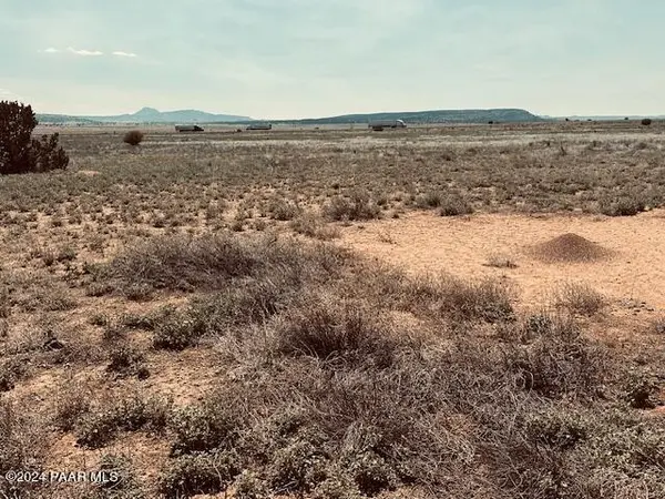 28581 W Hondo RD, Seligman, AZ 86337
