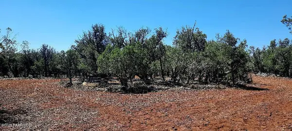 Xxxx S Desperado TRL, Williams, AZ 86046