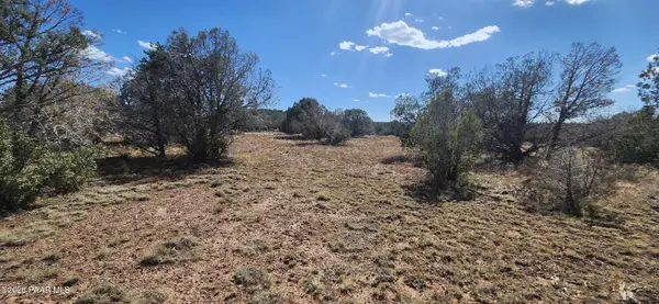 Parcel B N Cienega Drive, Williams, AZ 86046